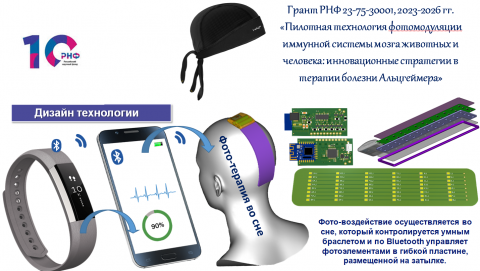 Грант 23-75-30001
